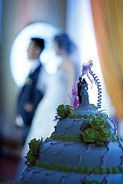 美国研究机构用PS5手柄完成试管婴儿受孕操作流程